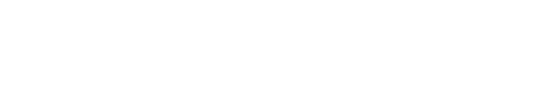 paysafe